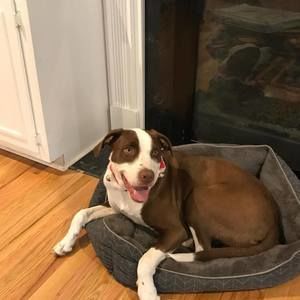 Meet your Posher, Juanita